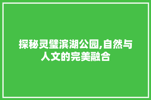 探秘灵璧滨湖公园,自然与人文的完美融合