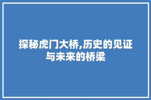 探秘虎门大桥,历史的见证与未来的桥梁
