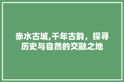 赤水古城,千年古韵，探寻历史与自然的交融之地