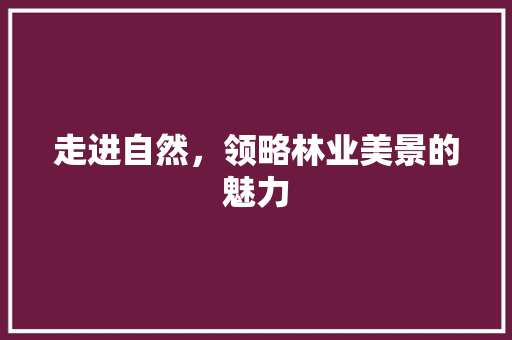 走进自然，领略林业美景的魅力