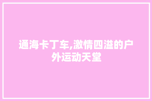 通海卡丁车,激情四溢的户外运动天堂