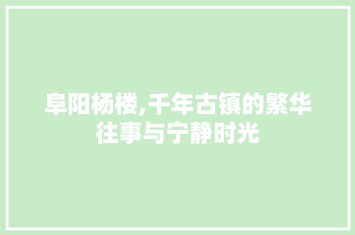 阜阳杨楼,千年古镇的繁华往事与宁静时光