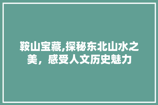 鞍山宝藏,探秘东北山水之美，感受人文历史魅力  第1张