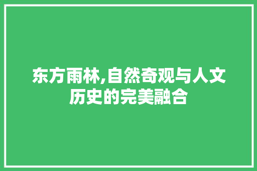 东方雨林,自然奇观与人文历史的完美融合