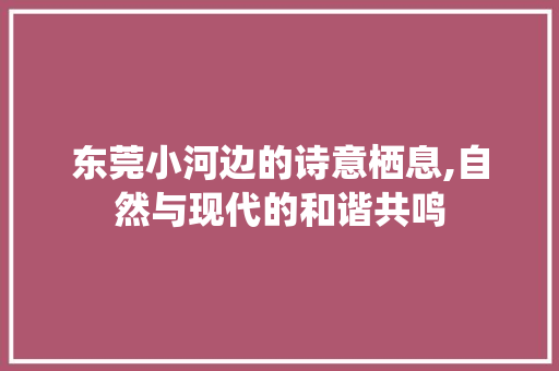 东莞小河边的诗意栖息,自然与现代的和谐共鸣  第1张