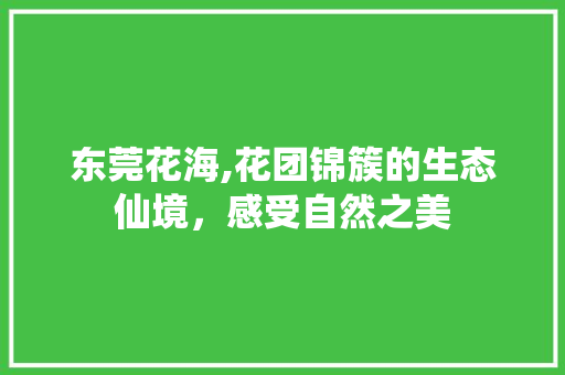 东莞花海,花团锦簇的生态仙境，感受自然之美