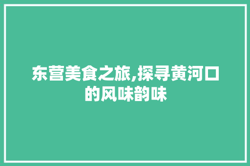 东营美食之旅,探寻黄河口的风味韵味