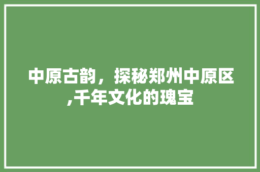 中原古韵，探秘郑州中原区,千年文化的瑰宝