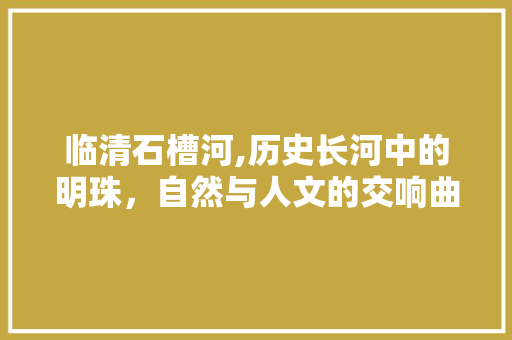 临清石槽河,历史长河中的明珠，自然与人文的交响曲
