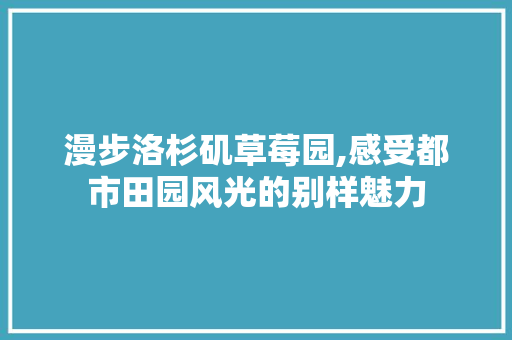 漫步洛杉矶草莓园,感受都市田园风光的别样魅力