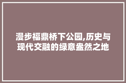 漫步福鼎桥下公园,历史与现代交融的绿意盎然之地