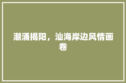 潮涌揭阳，汕海岸边风情画卷