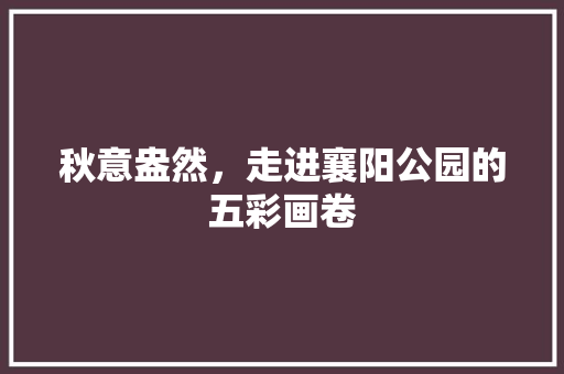 秋意盎然，走进襄阳公园的五彩画卷