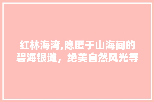 红林海湾,隐匿于山海间的碧海银滩，绝美自然风光等你探寻