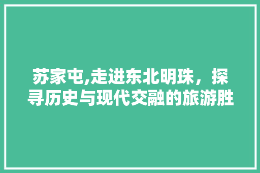 苏家屯,走进东北明珠，探寻历史与现代交融的旅游胜地
