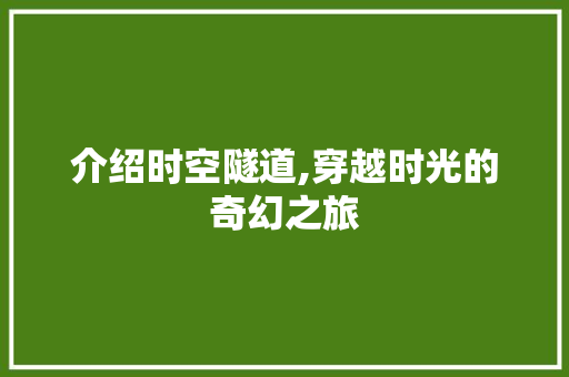 介绍时空隧道,穿越时光的奇幻之旅  第1张