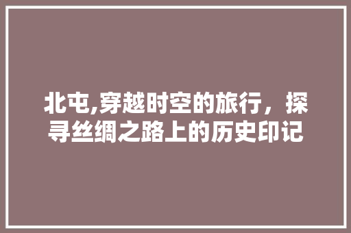 北屯,穿越时空的旅行，探寻丝绸之路上的历史印记