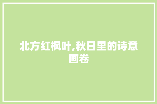 北方红枫叶,秋日里的诗意画卷