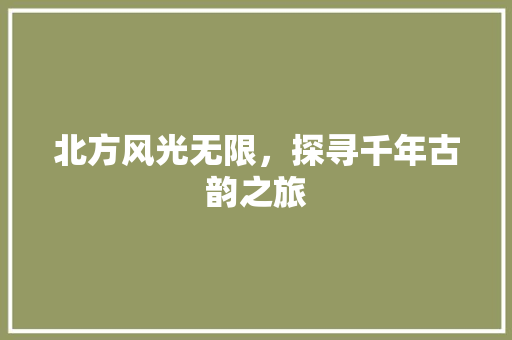 北方风光无限，探寻千年古韵之旅