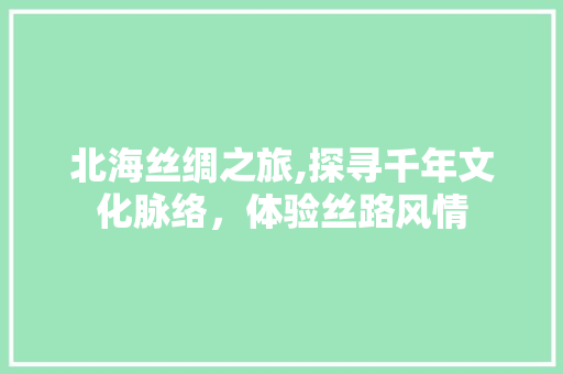 北海丝绸之旅,探寻千年文化脉络，体验丝路风情