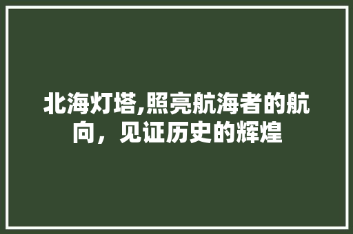 北海灯塔,照亮航海者的航向，见证历史的辉煌