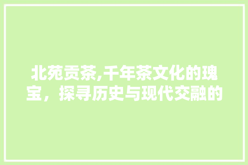 北苑贡茶,千年茶文化的瑰宝，探寻历史与现代交融的独特魅力  第1张
