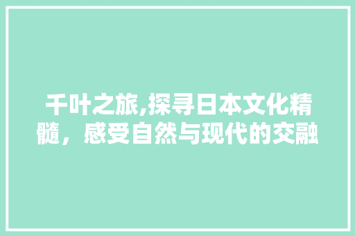 千叶之旅,探寻日本文化精髓，感受自然与现代的交融