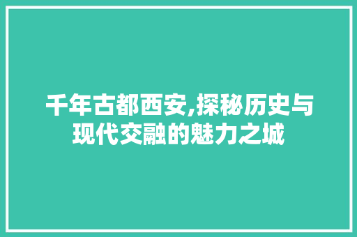 千年古都西安,探秘历史与现代交融的魅力之城