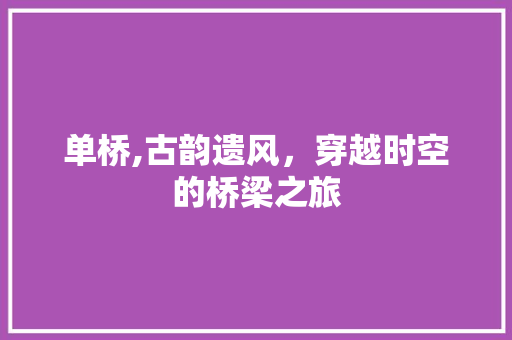 单桥,古韵遗风，穿越时空的桥梁之旅