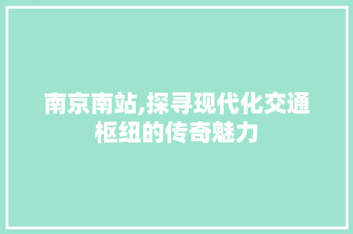 南京南站,探寻现代化交通枢纽的传奇魅力