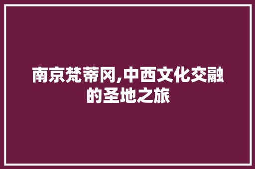南京梵蒂冈,中西文化交融的圣地之旅