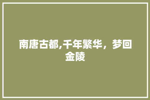 南唐古都,千年繁华，梦回金陵