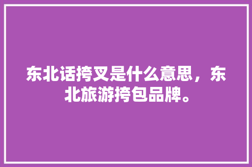 东北话挎叉是什么意思，东北旅游挎包品牌。  第1张