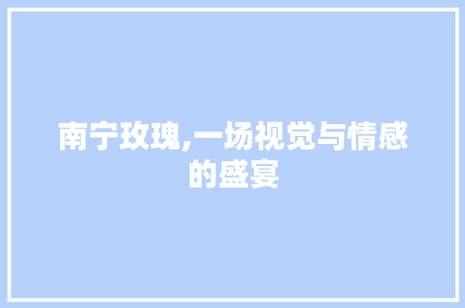南宁玫瑰,一场视觉与情感的盛宴