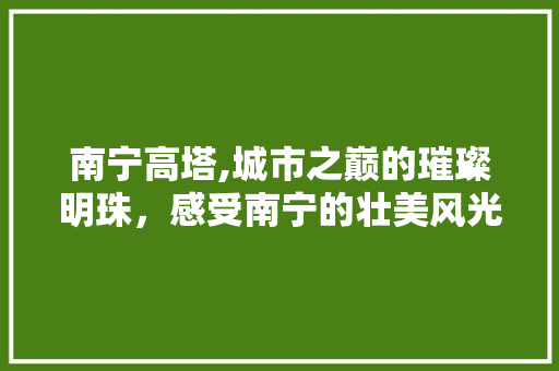 南宁高塔,城市之巅的璀璨明珠，感受南宁的壮美风光