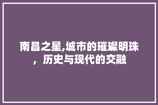 南昌之星,城市的璀璨明珠，历史与现代的交融