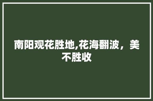 南阳观花胜地,花海翻波，美不胜收