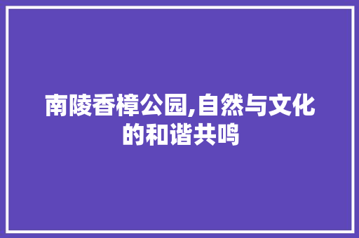 南陵香樟公园,自然与文化的和谐共鸣