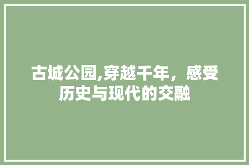 古城公园,穿越千年，感受历史与现代的交融