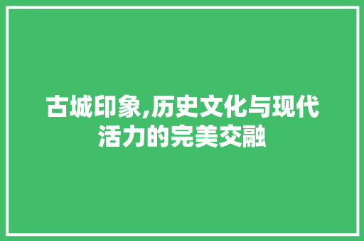 古城印象,历史文化与现代活力的完美交融  第1张