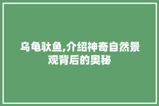 乌龟驮鱼,介绍神奇自然景观背后的奥秘  第1张
