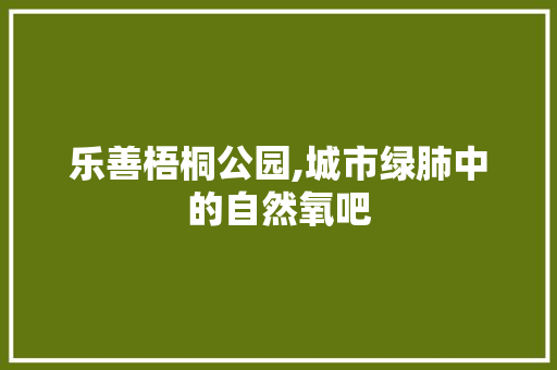 乐善梧桐公园,城市绿肺中的自然氧吧  第1张