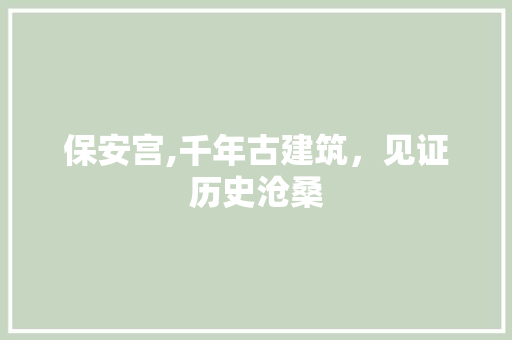 保安宫,千年古建筑，见证历史沧桑  第1张