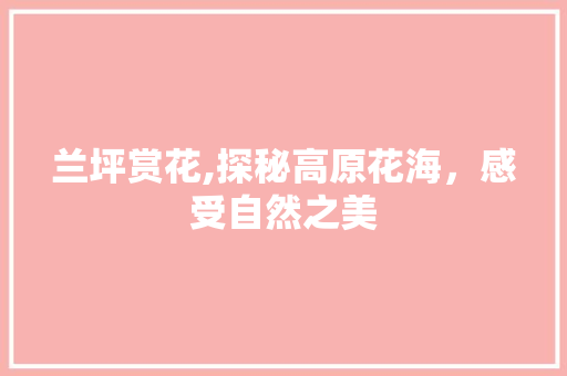 兰坪赏花,探秘高原花海，感受自然之美