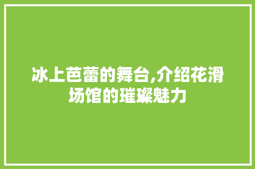 冰上芭蕾的舞台,介绍花滑场馆的璀璨魅力