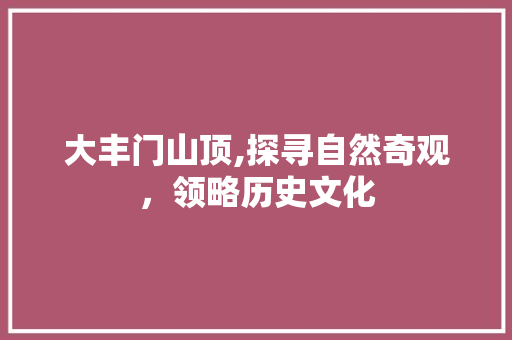 大丰门山顶,探寻自然奇观，领略历史文化  第1张