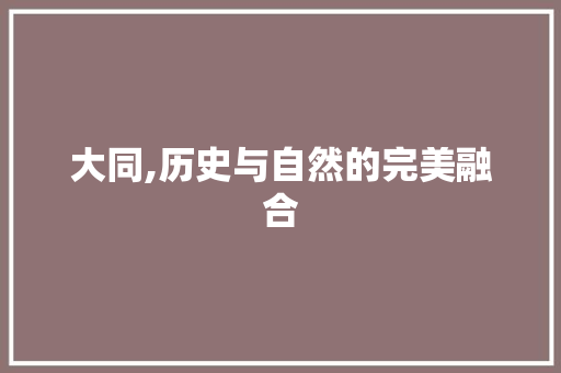 大同,历史与自然的完美融合  第1张