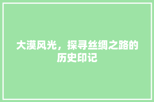 大漠风光，探寻丝绸之路的历史印记