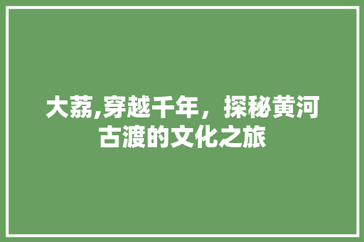 大荔,穿越千年，探秘黄河古渡的文化之旅