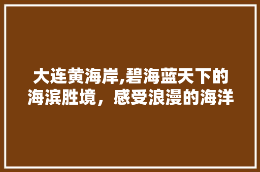 大连黄海岸,碧海蓝天下的海滨胜境，感受浪漫的海洋风情  第1张